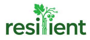 Desarrollo de cubiertas vegetales en viñedo optimizando la eficiencia de riegos, el desarrollo del cultivo y la reducción del consumo energético de la bodega Mediante la aplicación de técnicas de inteligencia artificial.